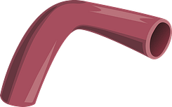 blood circulation